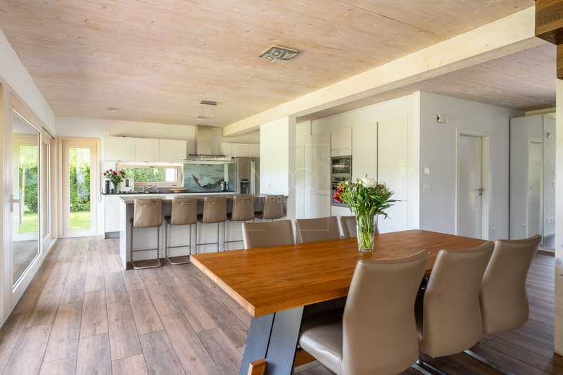 Belle villa contemporaine à 3 min à pied du lac de Morat à Faoug (7)