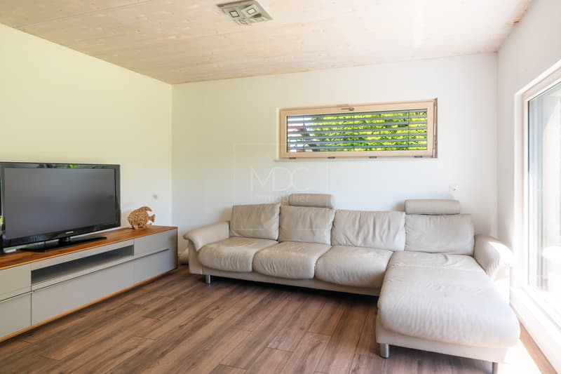 Belle villa contemporaine à 3 min à pied du lac de Morat à Faoug (4)