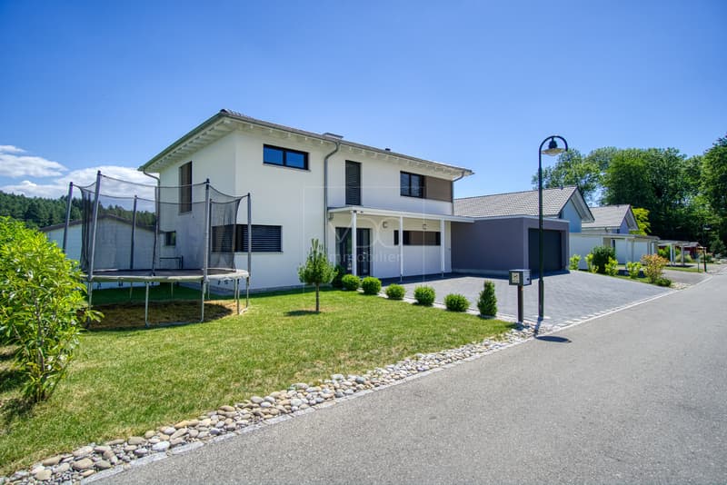 Belle villa contemporaine à 3 min à pied du lac de Morat à Faoug (12)
