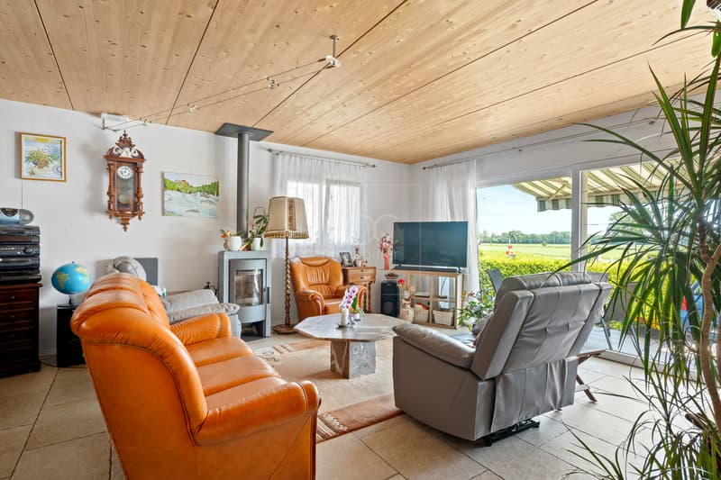 Spacieuse villa avec piscine et 2.5 pièces indépendant à St-Aubin (11)