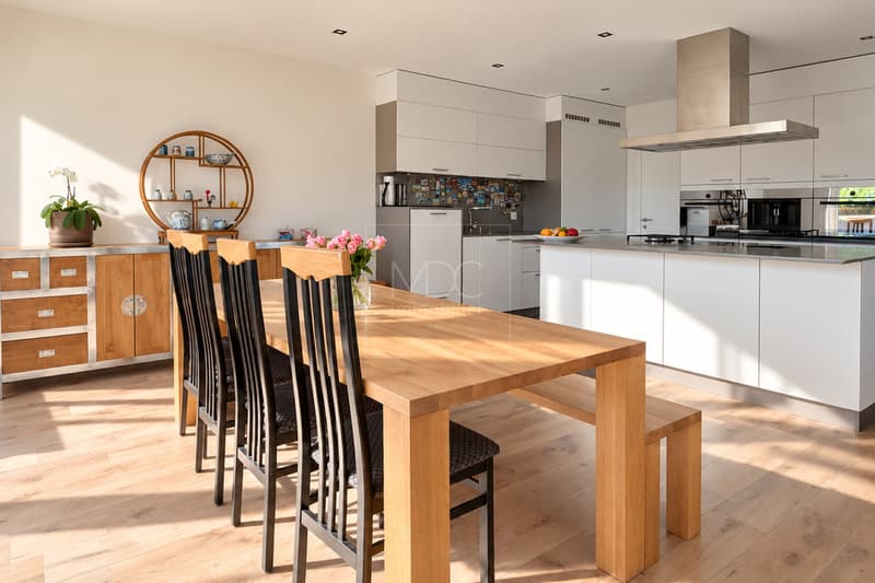 Villa individuelle contemporaine avec vue dégagée à Villeneuve (FR) (5)