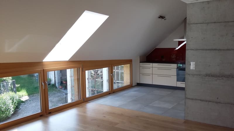 wooden floor, large windows, kitchen, balcony, skylight