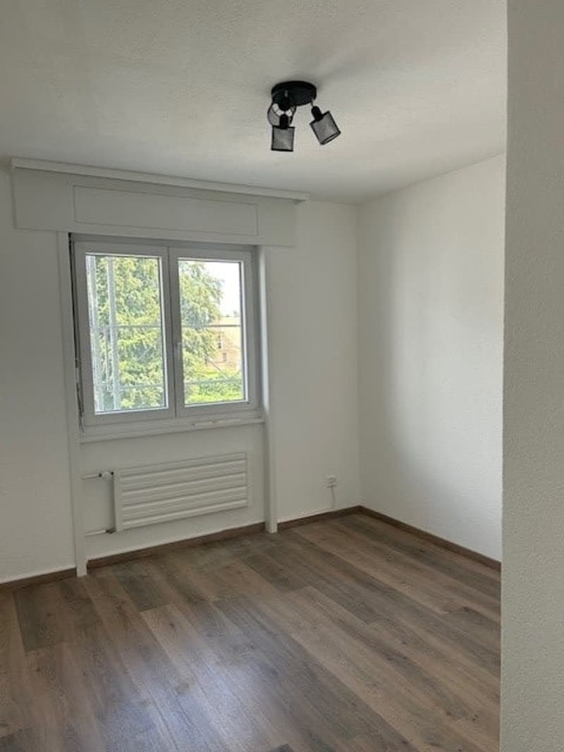 Appartement de 4.5 pièces dans un immeuble entièrement rénové au 2e étage avec balcon (5)