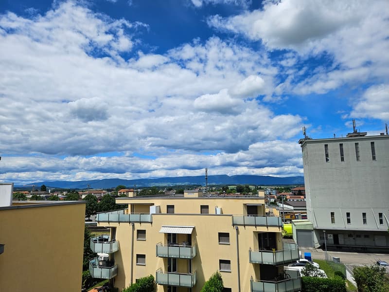 Prächtiges und helles 5,5-Zimmer-Duplex-Apartment (4)