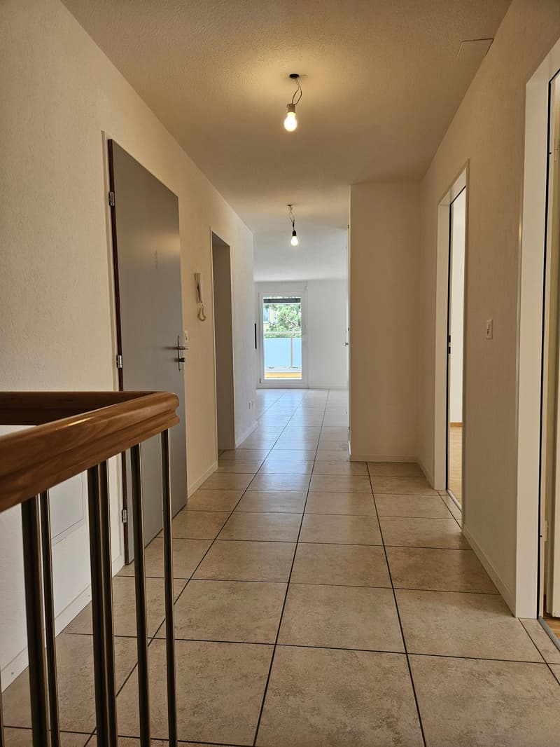 Prächtiges und helles 5,5-Zimmer-Duplex-Apartment (2)
