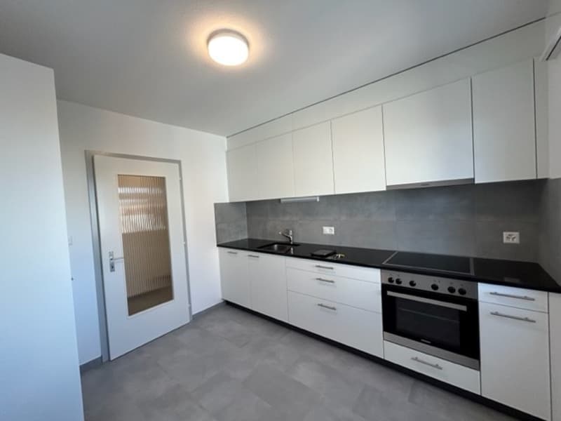 Appartamento di 4.5 locali, in un edificio completamente ristrutturato al 3° piano con balcone (3)
