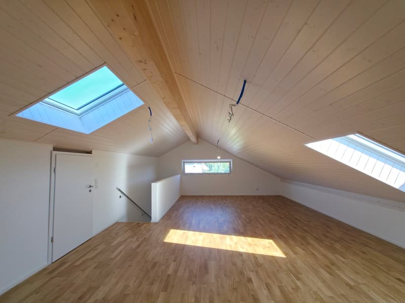 Magnifique villa avec parking souterrain (4)