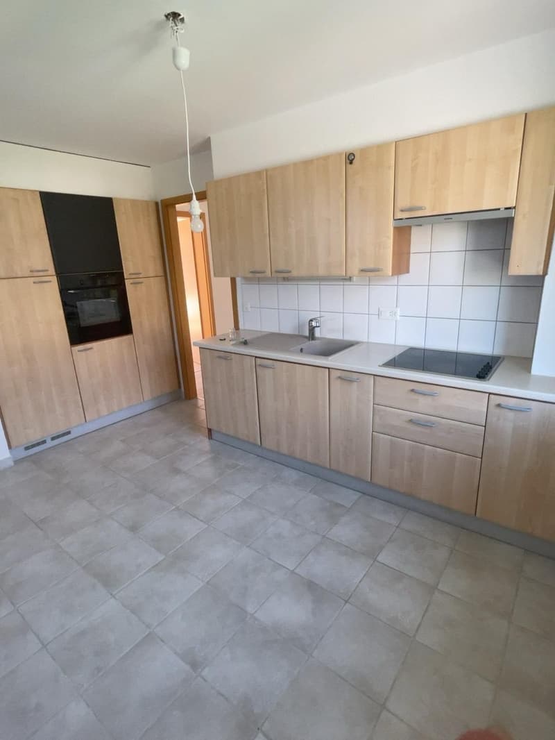 A louer à Avenches - Charmant 3.5 pièces lumineux avec grande terrasse et balcon. (2)