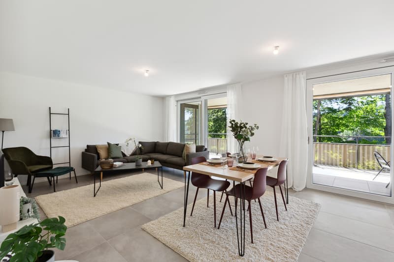 Appartement PPE (2)
