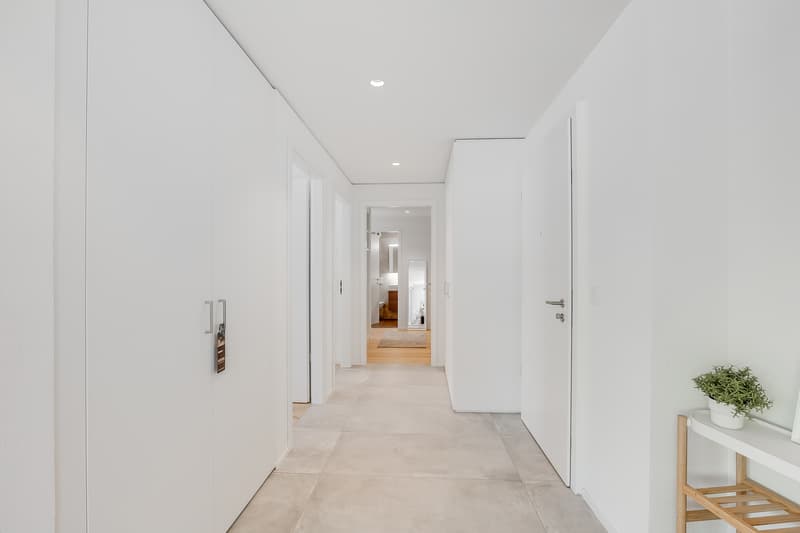 Appartement PPE (4)