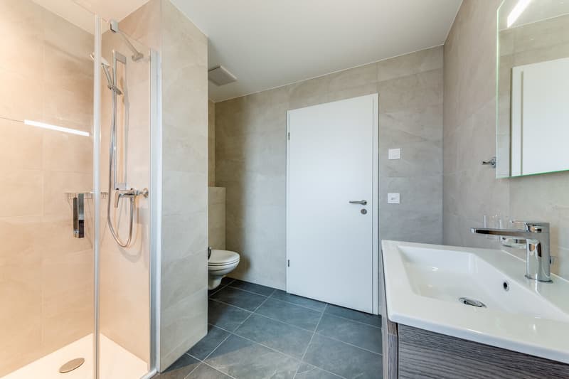 5.5-room duplex apartment in Prévonloup (8)