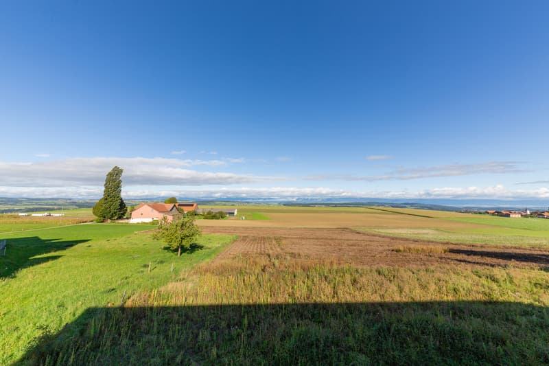 5.5-room duplex apartment in Prévonloup (10)