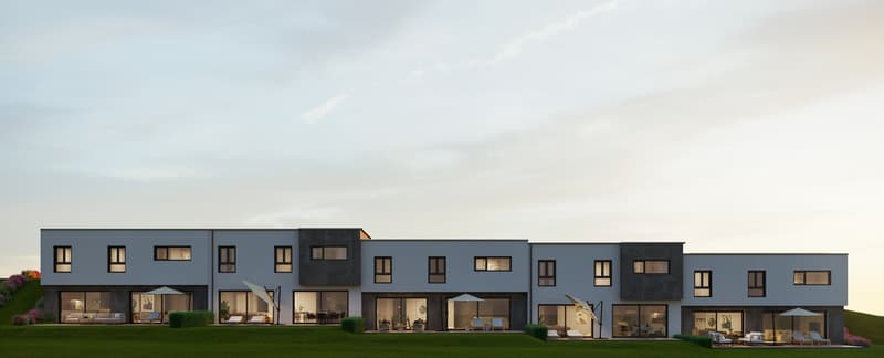 Villa contigua di 5.5 locali a Mézières (7)