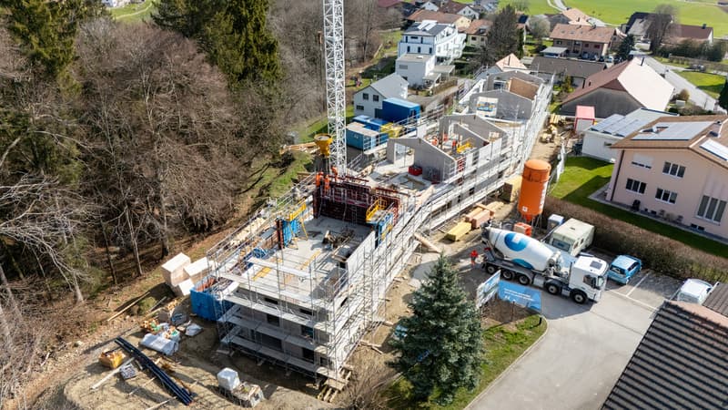 Spacieux triplex de 5.5 pièces à Sorens (12)