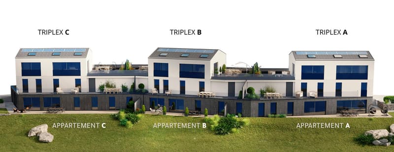 Spacieux triplex de 5.5 pièces à Sorens (13)