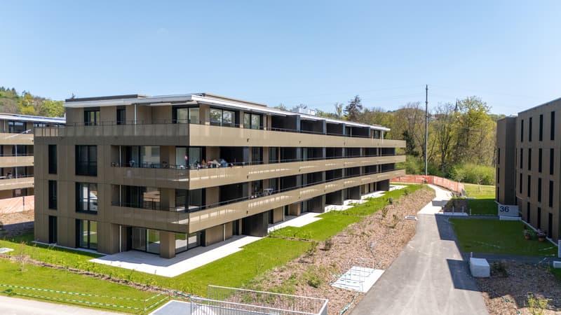 Appartement PPE (1)