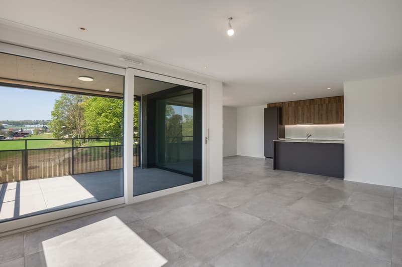 Appartement PPE (3)