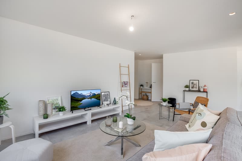 Appartement PPE (2)