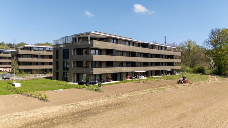 PPE Apartment (9)