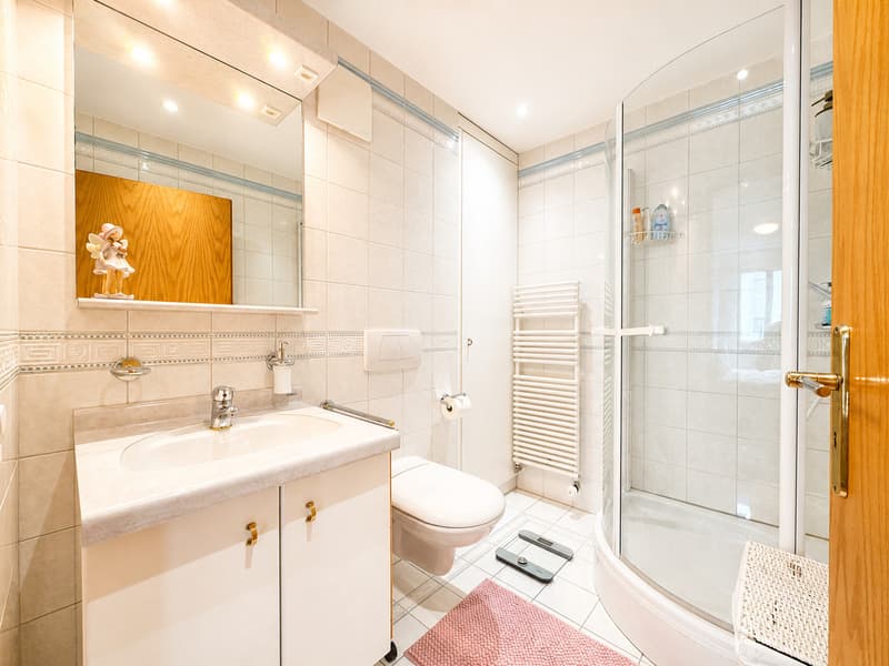 Appartement de 4.5 pièces au coeur de Fribourg (9)