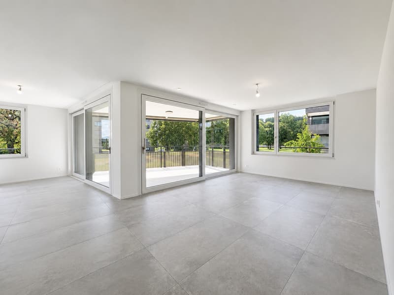 Appartement PPE (1)