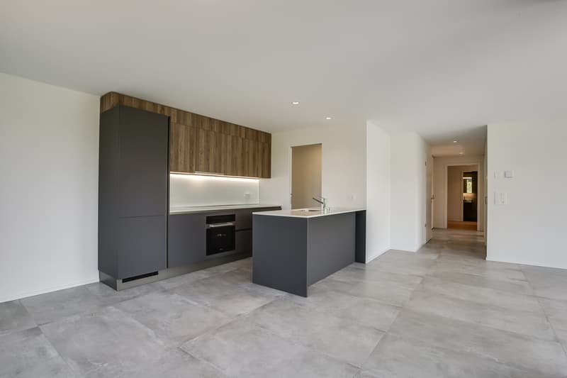 Appartement PPE (4)