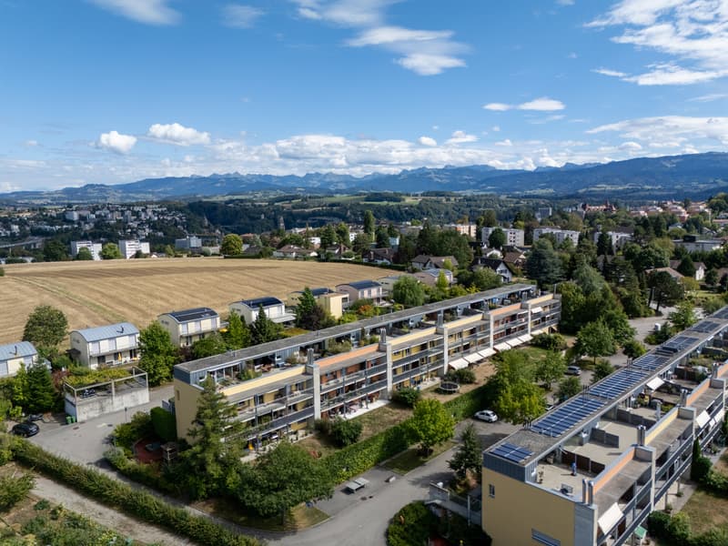 Duplex de 5.5 pièces à vendre (1)