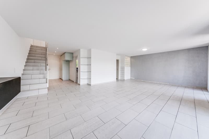 Duplex de 5.5 pièces à vendre (3)