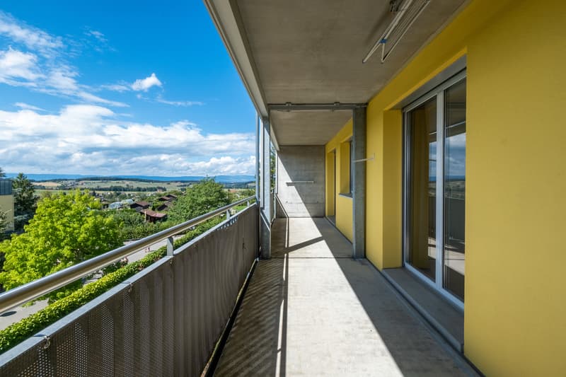 Duplex de 5.5 pièces à vendre (9)