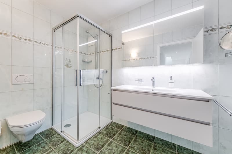 Duplex de 5.5 pièces à vendre (8)