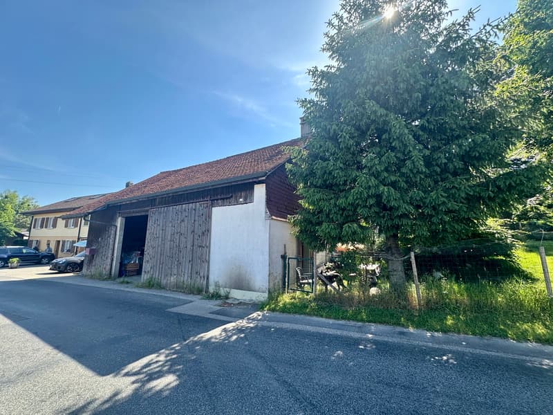 Grange à rénover avec fort potentiel de transformation - Vulliens (4)