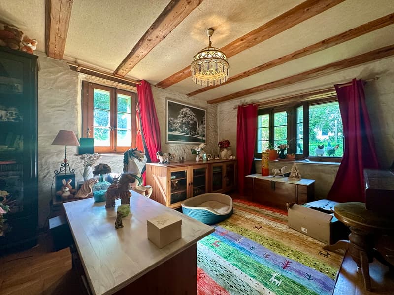Grange à rénover avec fort potentiel de transformation - Vulliens (8)