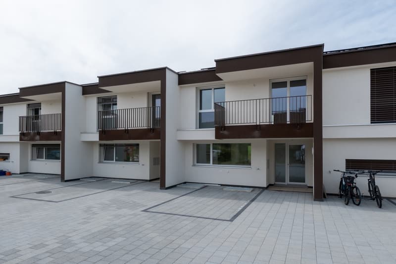 À VENDRE - Magnifique villa contemporaine à Villariaz (11)