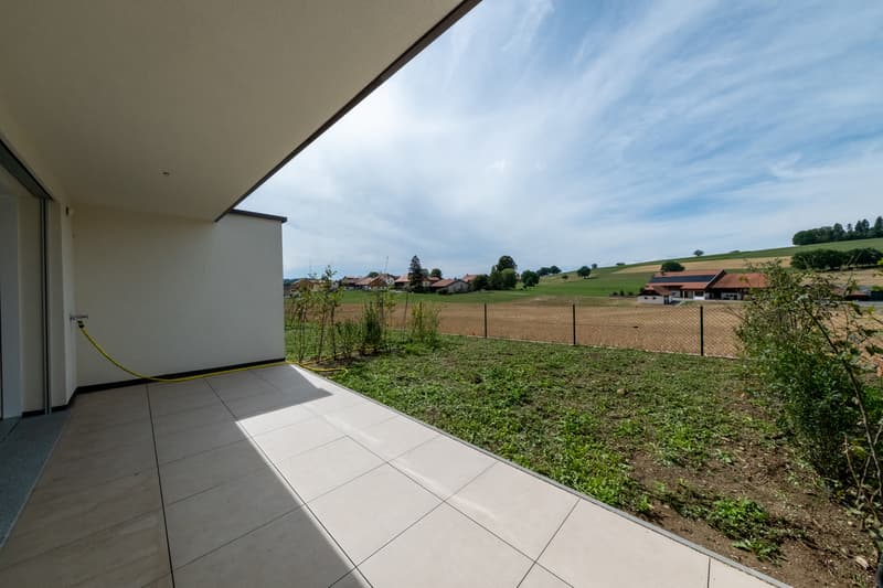 À VENDRE - Magnifique villa contemporaine à Villariaz (3)