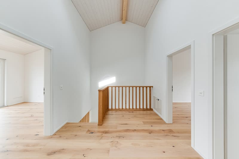 À VENDRE - Magnifique villa contemporaine à Villariaz (5)