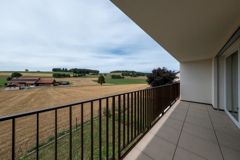À VENDRE - Magnifique villa contemporaine à Villariaz (8)
