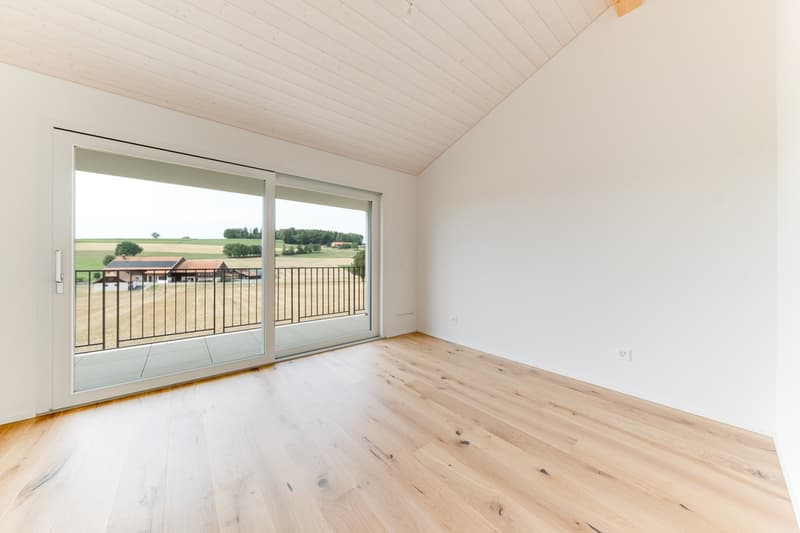 À VENDRE - Magnifique villa contemporaine à Villariaz (6)