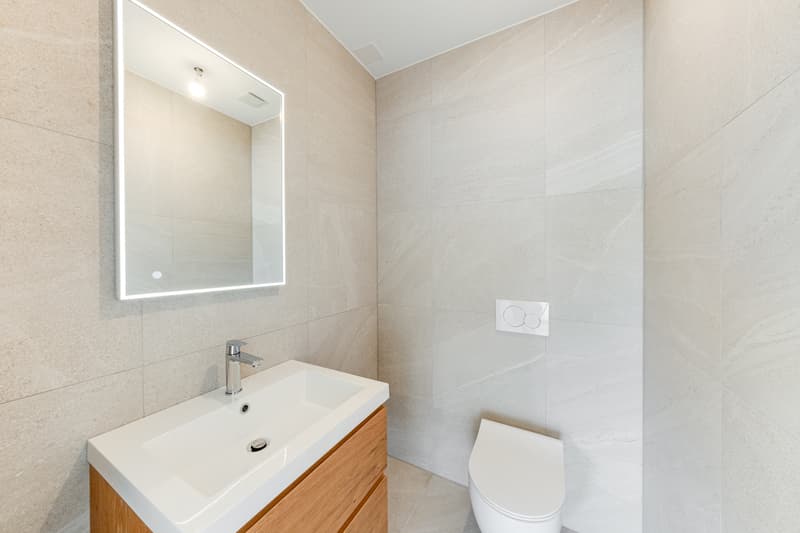 À VENDRE - Magnifique villa contemporaine à Villariaz (4)