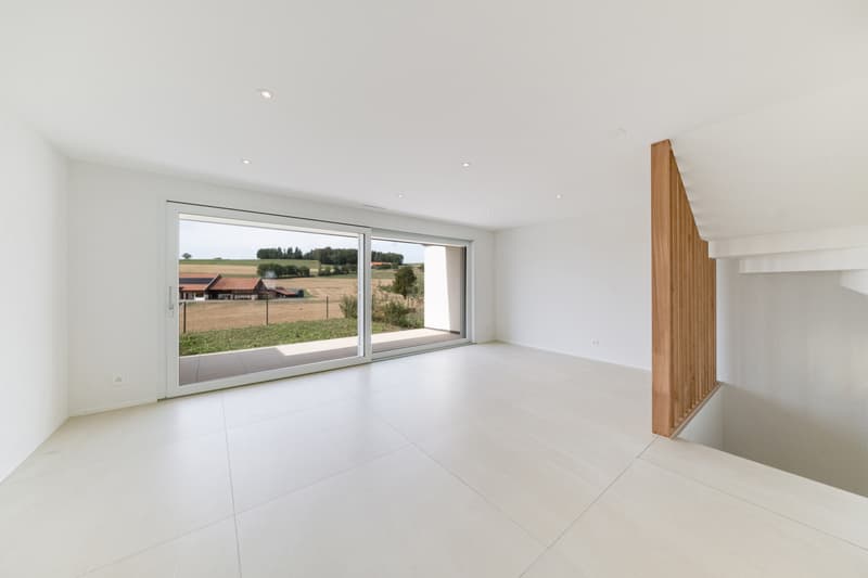 À VENDRE - Magnifique villa contemporaine à Villariaz (1)