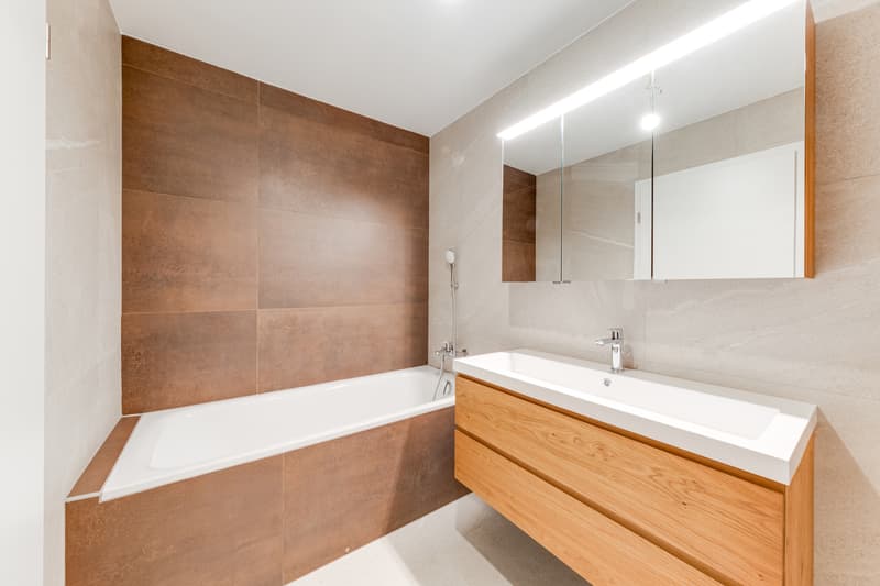 À VENDRE - Magnifique villa contemporaine à Villariaz (10)