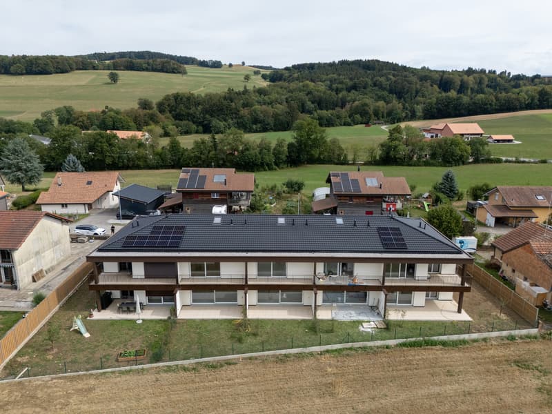 À VENDRE - Magnifique villa contemporaine à Villariaz (12)