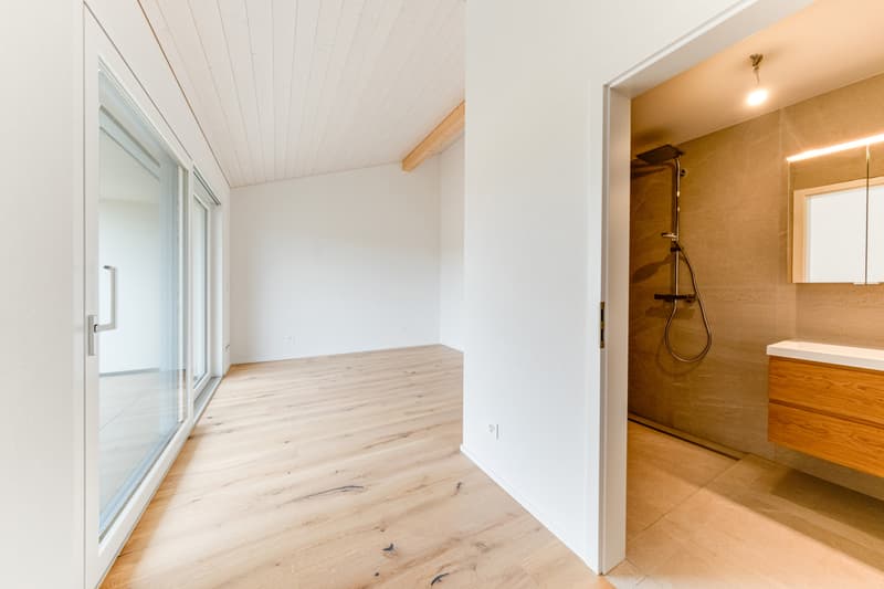 À VENDRE - Magnifique villa contemporaine à Villariaz (8)