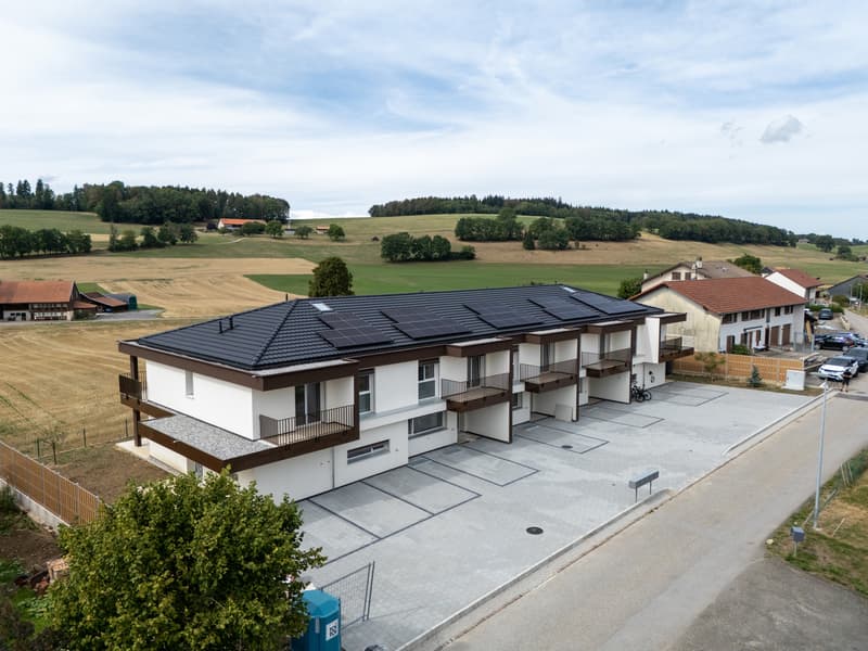 À VENDRE - Magnifique villa contemporaine à Villariaz (1)