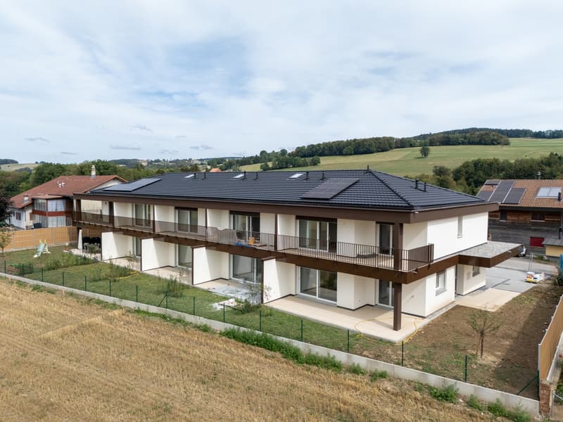 À VENDRE - Magnifique villa contemporaine 6,5 pièces à Villariaz (1)