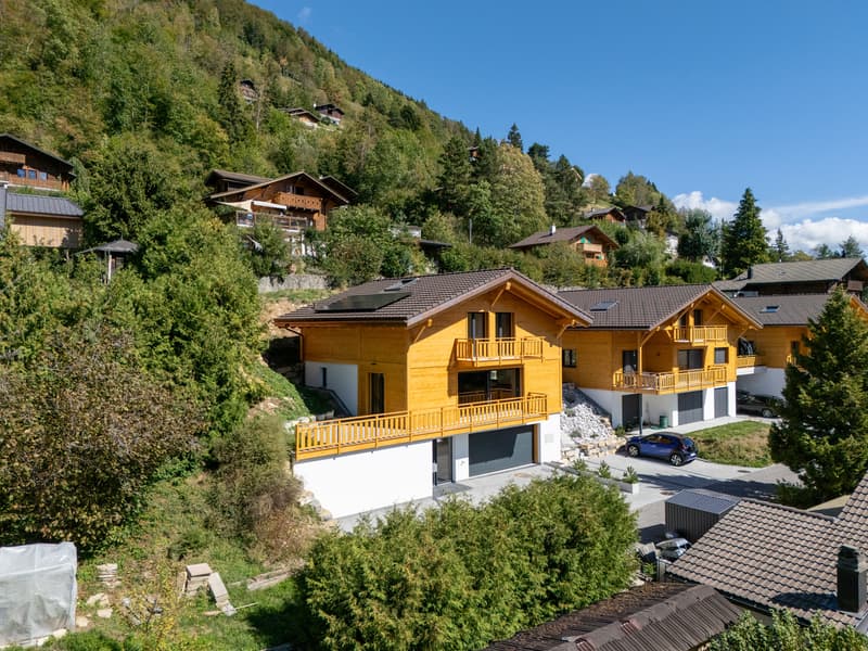 Chalet de 5.5 pièces à Crésuz (13)