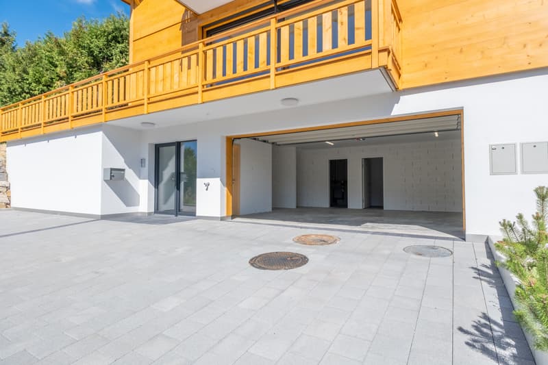 Chalet de 5.5 pièces à Crésuz (12)