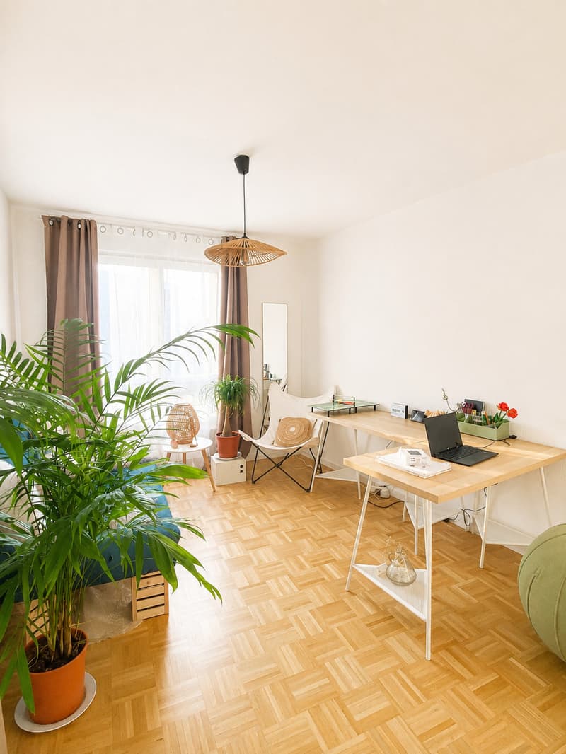 Appartement 3½ pièces avec balcon et place de parc intérieure - Neyruz (5)