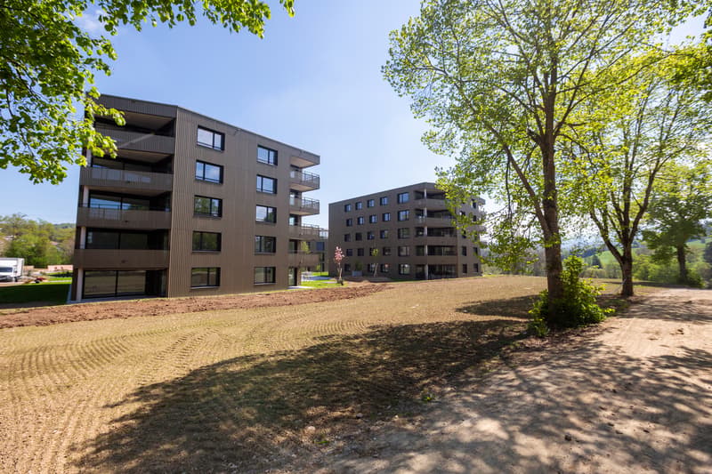 Appartement PPE (11)