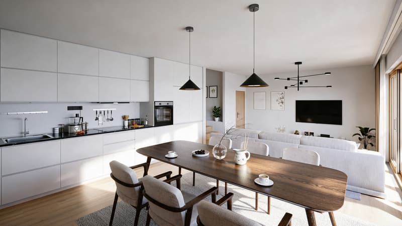 Villa de 5.5 pièces à Romont (3)