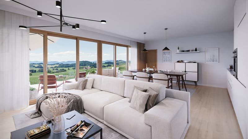 Villa de 5.5 pièces à Romont (2)